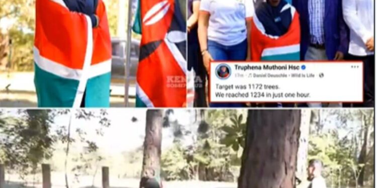 Truphena muthoni (1)