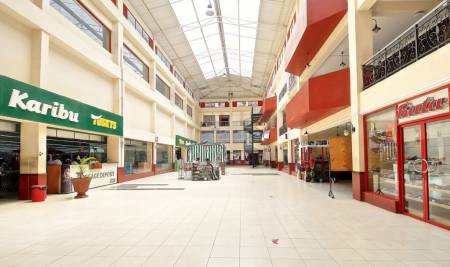 Sannex Auctioneers  to auction Greenspan Mall Tuskys supermarket over Sh 24.2 Million rent