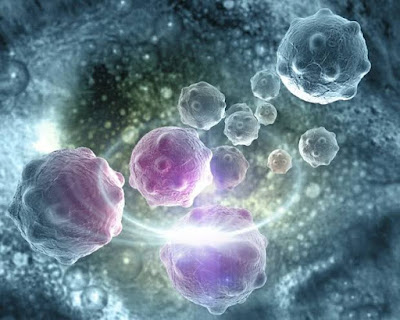 Cancer signs and cure; Cancer Cure has been found and will be readily available in 12 months time