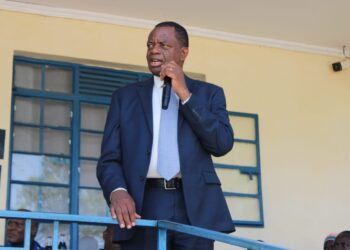 Hamisi mp charles gimose tells uda delegates to fix fill