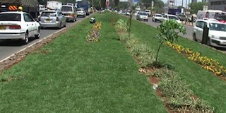 What happened to kidero grass? Now the county government wants the city beauty project revived.