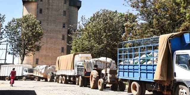 Trucks loaded with maize queue to deliver the produce to the National Cereals and Produce Board, Eldoret Trucks loaded with maize queue to deliver the produce to the National Cereals and Produce Board, Eldoret