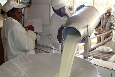Parliament bans milk importation through Agriculture CS Mwangi Kiunjuri