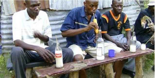 Is ‘Mnazi’ palm wine an illicit brew? Kilifi leaders furious over DP Gachagua crackdown