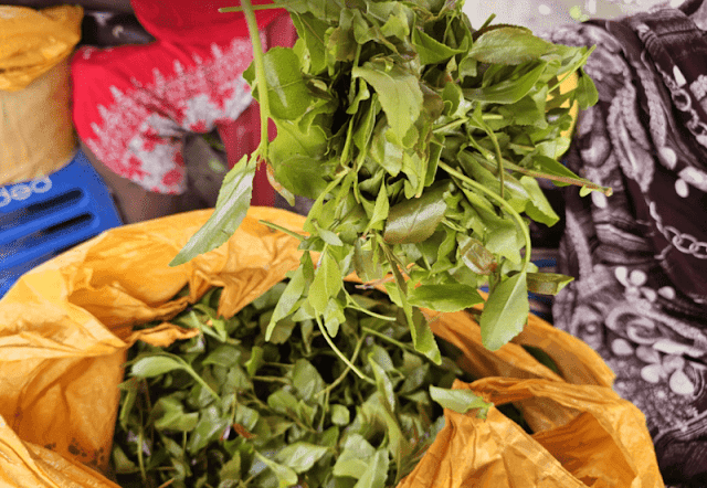 Muguka leaves photo Muguka leaves photo