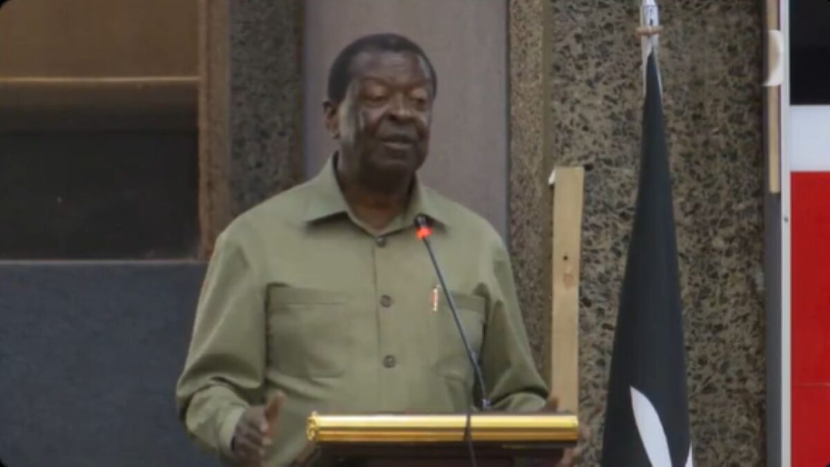 Musalia mudavadi