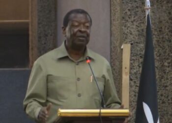 Musalia mudavadi