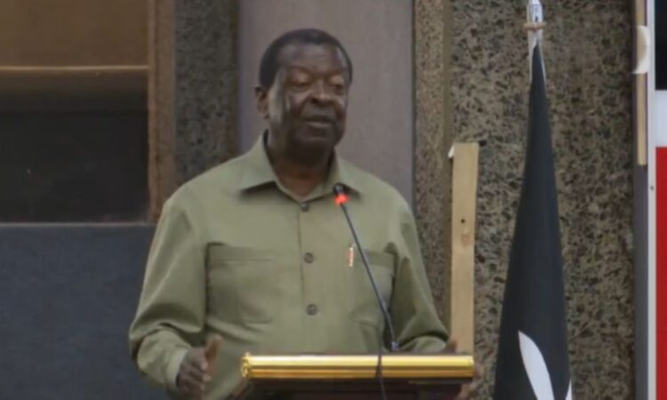 Musalia mudavadi