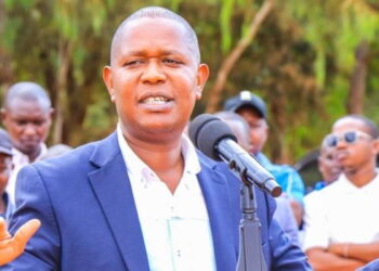 Mwengi mutuse