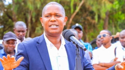 Mwengi mutuse