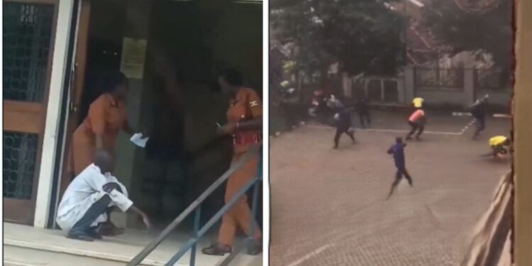 Ugandan witchcraft bees in court