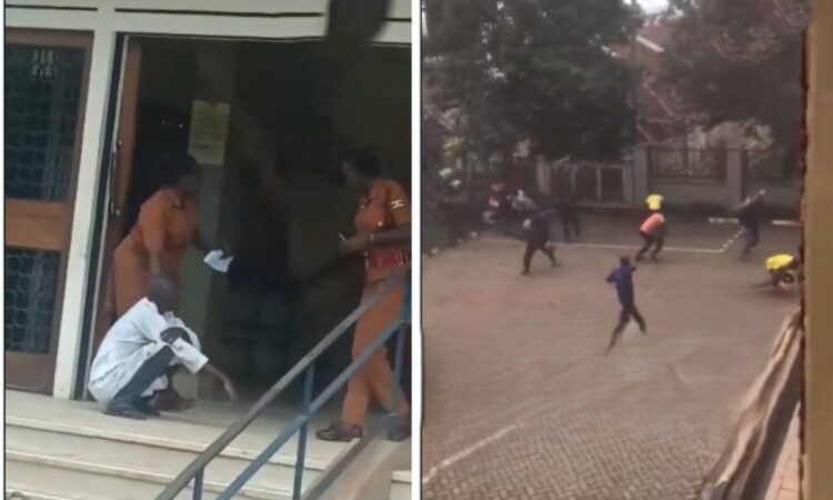 Ugandan witchcraft bees in court