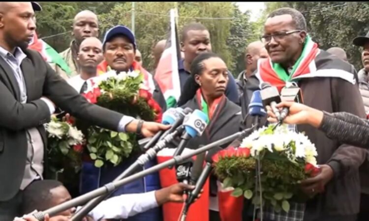 Maraga team opposition