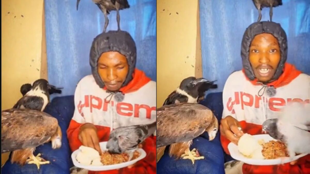 Nairobi bird man oloo