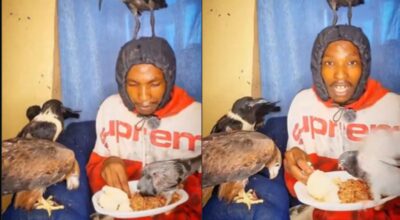 Nairobi bird man oloo