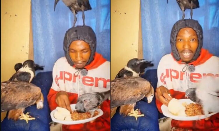 Nairobi bird man oloo