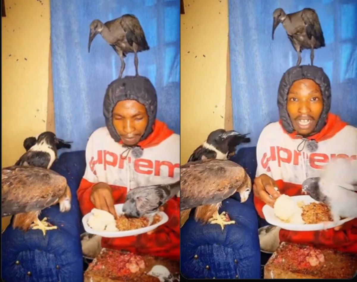 Nairobi bird man oloo