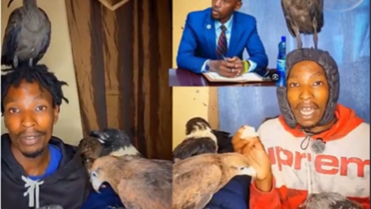 Nairobi birdman and geoffrey mosiria