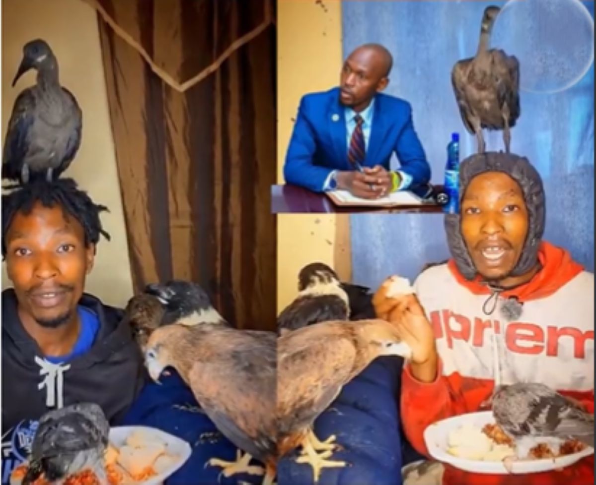 Nairobi birdman and geoffrey mosiria