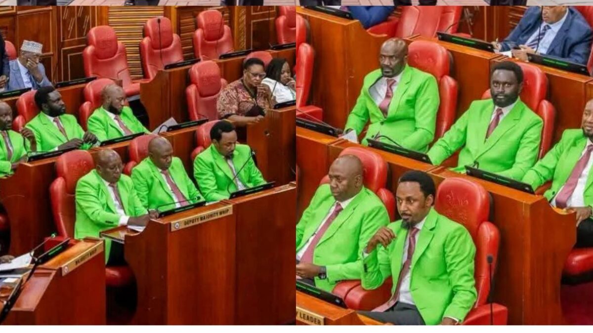 Olkalou senators