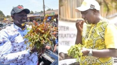 Ruto in meru