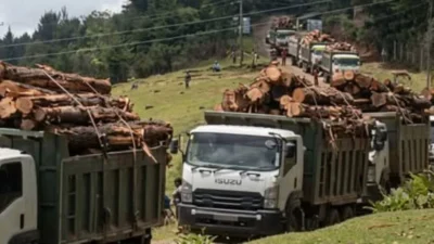 Logging in aberdares banacoke